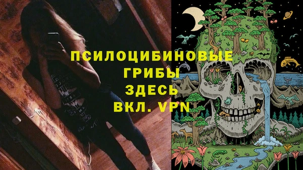 стаф Армянск